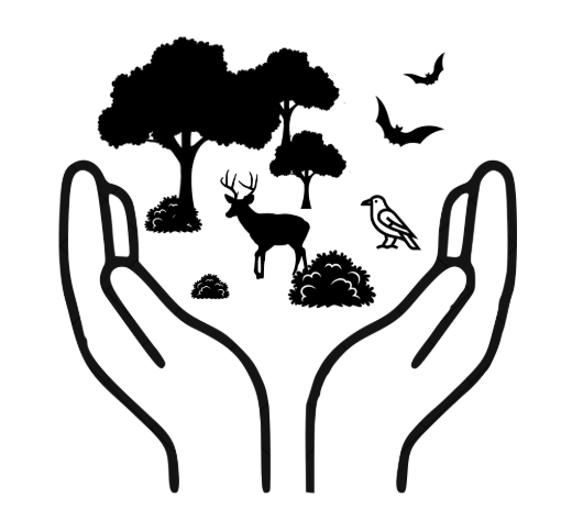 Un projet favorable à l’environnement
